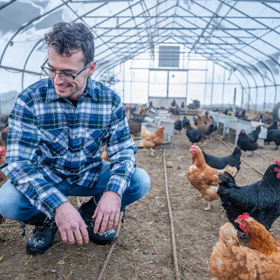 Giacomo in the chicken coop.
