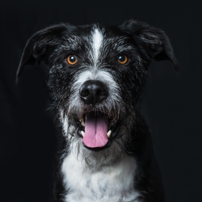 vermont-professional-headshot_delek-125-Edit.jpg