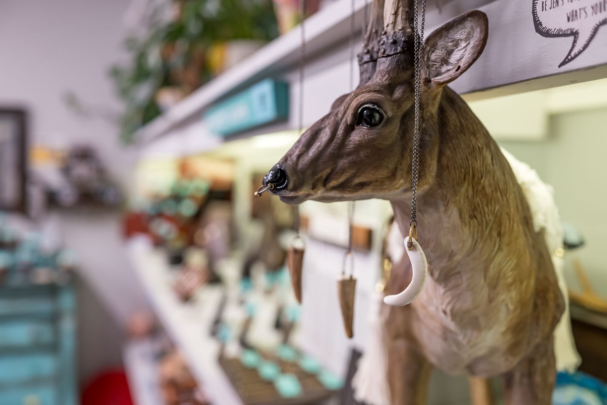 Deer display.<br>