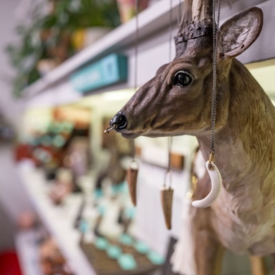 Deer display.<br>