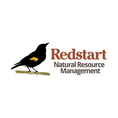 RedStart Consulting