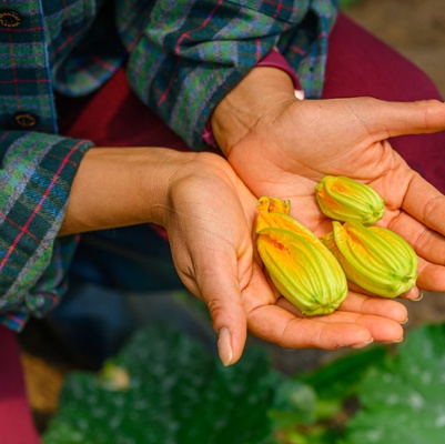 Squash blossoms