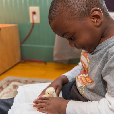 Child (and Chick) Care Center
