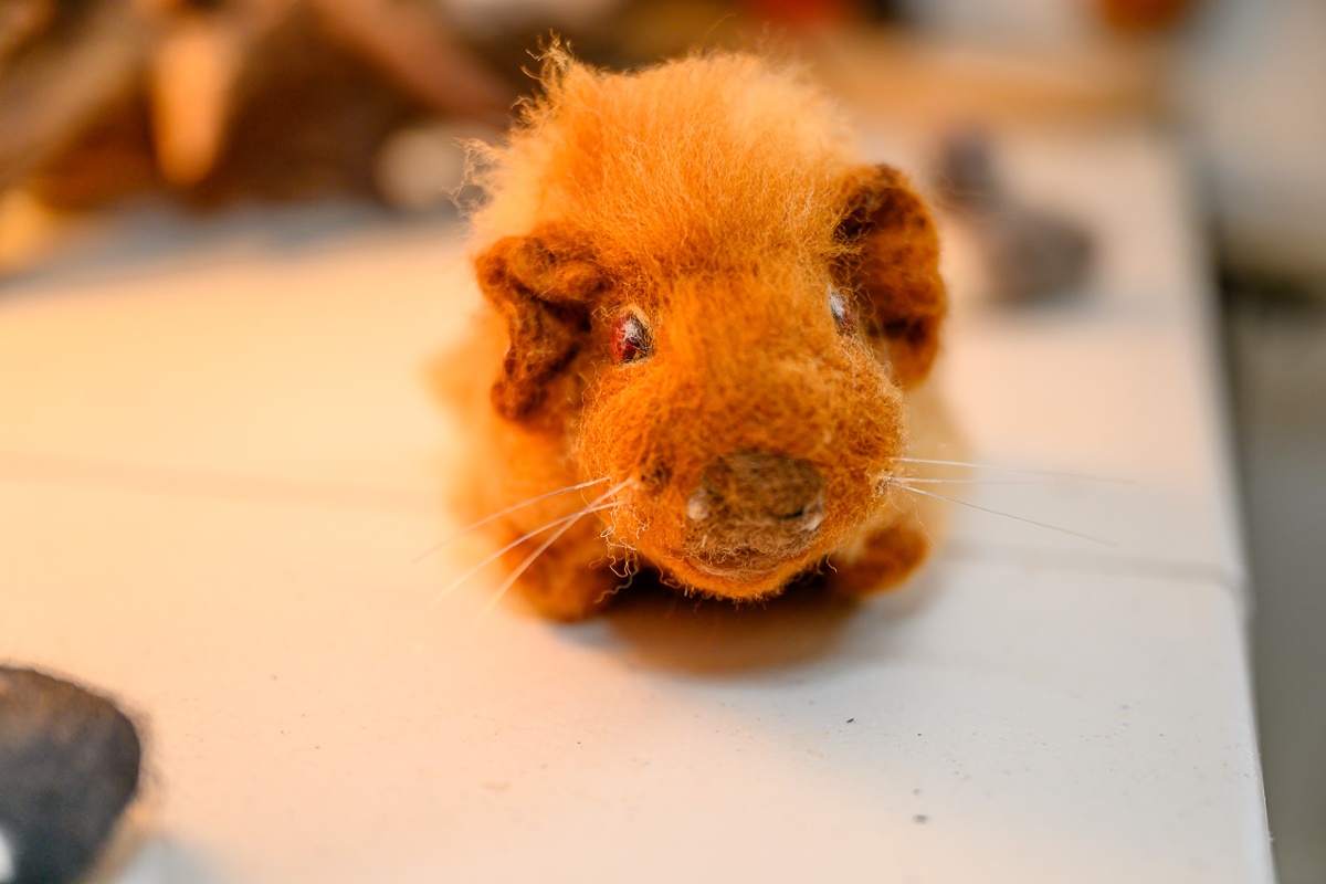 Lifelike Guinea pig.