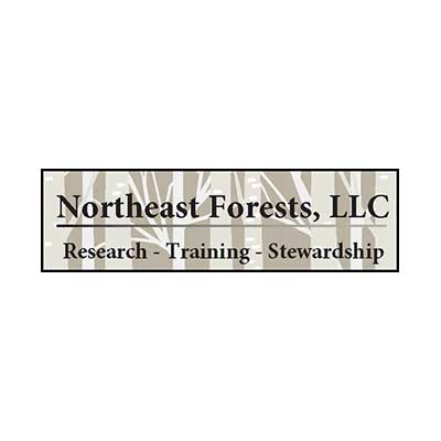 Northeast Forests