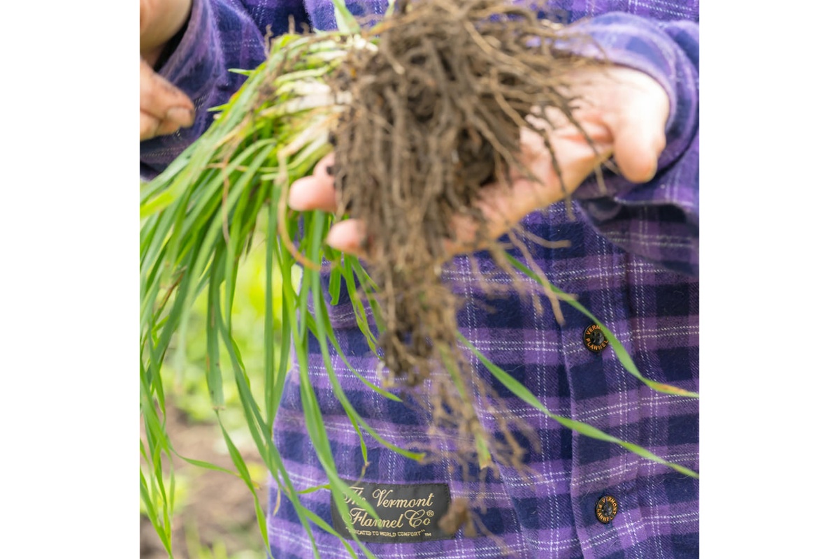 Jette shows off the rich soil they have nourished.