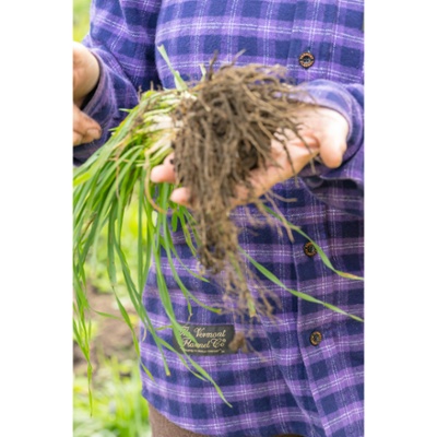 Jette shows off the rich soil they have nourished.