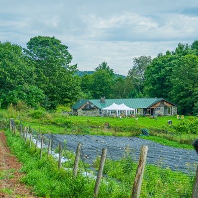 The fields in summer.<br>