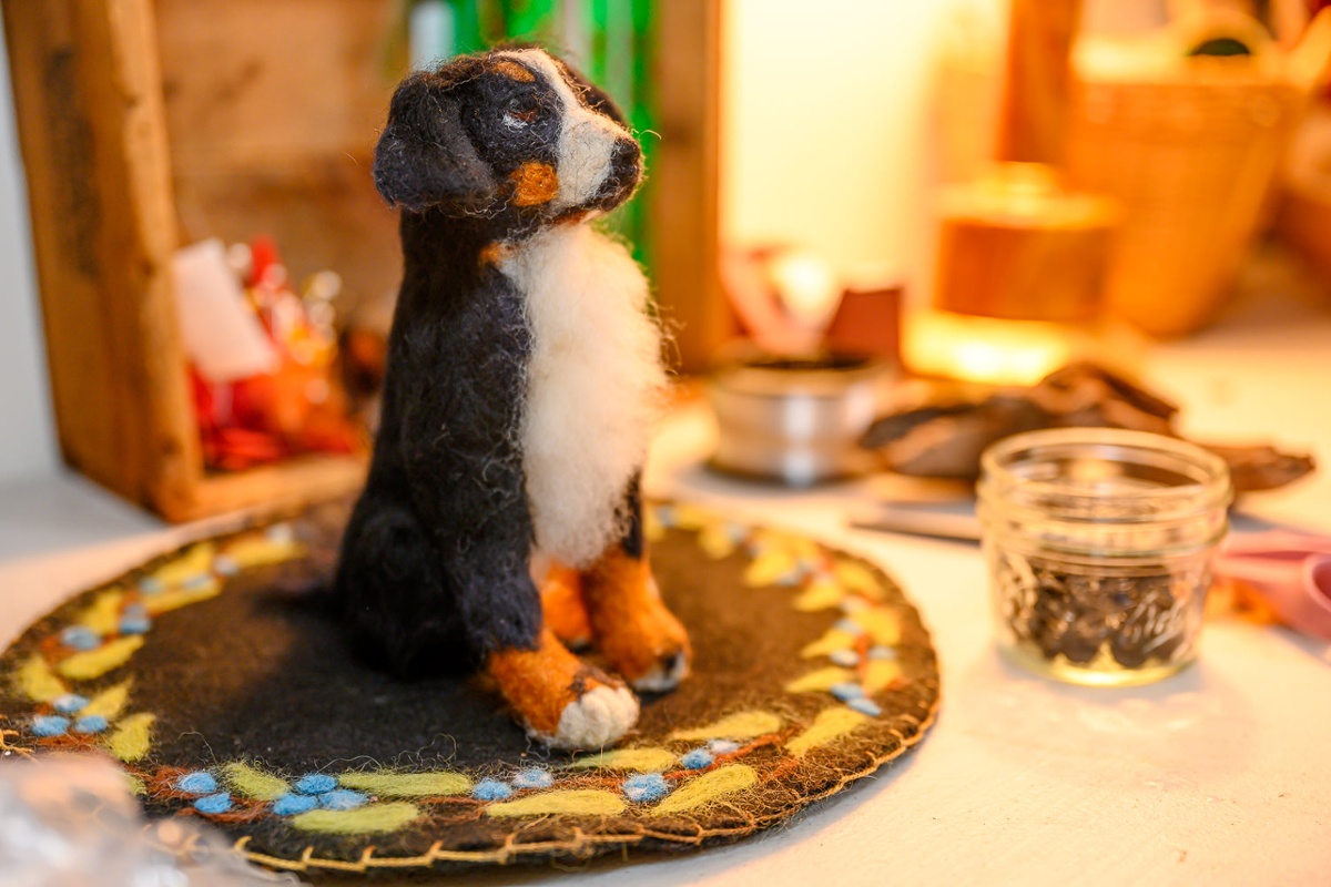 A distinguished Bernese.